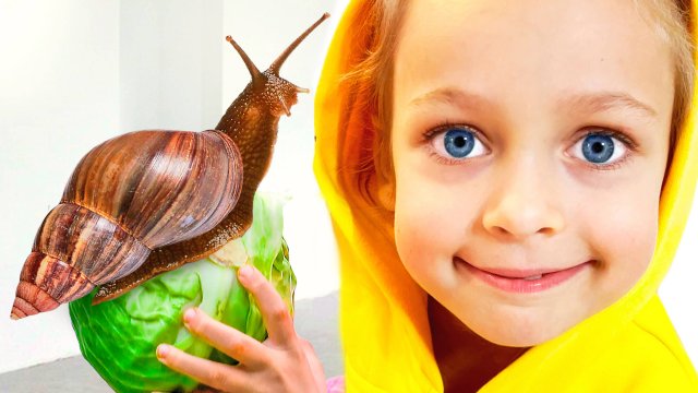 Песенка о домашнем зоопарке — детские стишки и песенки для детей | Майя и Маша+Детские сборники