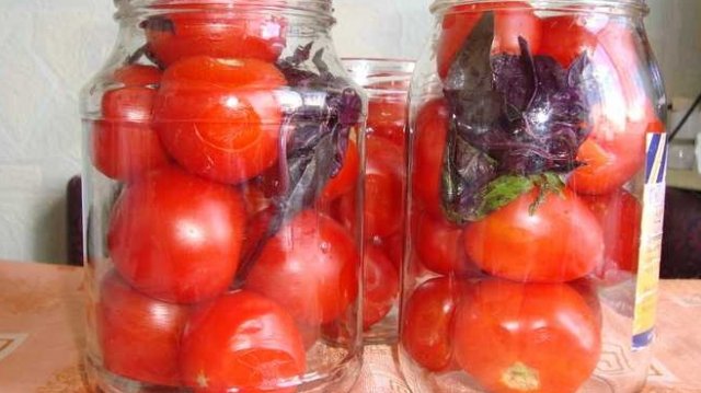 Свежие помидоры в зиму. Как сохранить помидоры свежими?