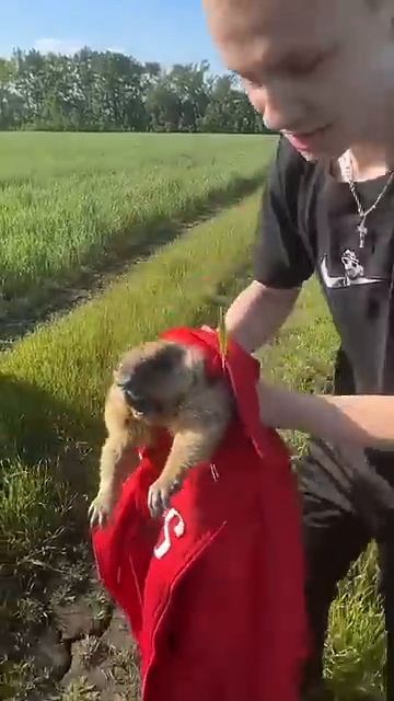 Видео, которое поднимет вам настроение 😂