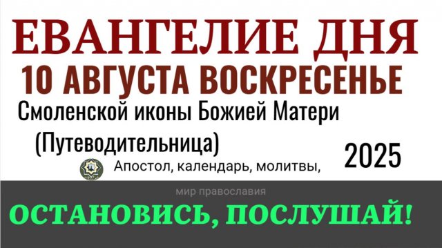 10 августа воскресенье Евангелие дня 2025 с толкованием #евангелие