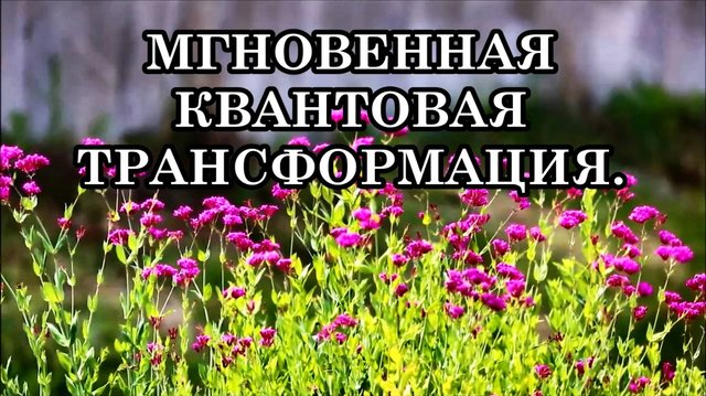 МГНОВЕННАЯ КВАНТОВАЯ ТРАНСФОРМАЦИЯ. МЫ НАЧИНАЕМ ЖИТЬ ПО-НАСТОЯЩЕМУ!