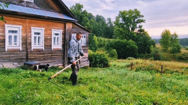 Живу в Тайге. Волки, Рыси, Медведи, Окуни. Пришлось отдать Рыбу.