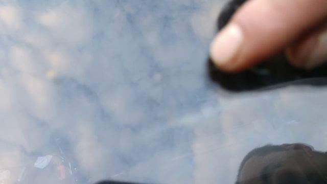 заделать трещину на лобовом стекле можно или нет чтоб её не видно было