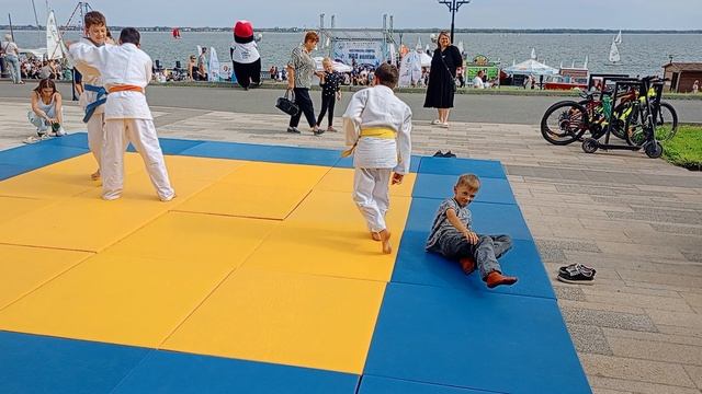Урок каратэ