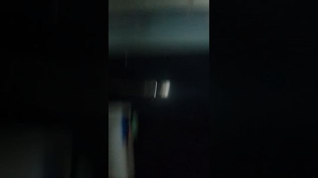 даша