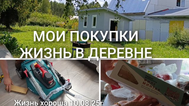 МОИ ПОКУПКИ _ КУПИЛИ ГАЗОНОКОСИЛКУ _ ЖИЗНЬ В ДЕРЕВНЕ _ ЖИЗНЬ ХОРОША 10.08.25г.