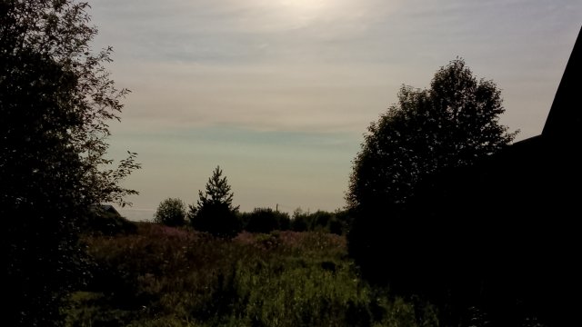 Вечерние размышления