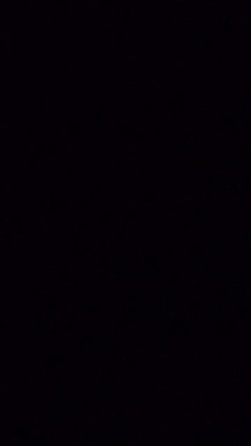 1000002401.mp