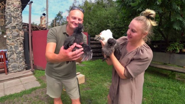 С ЯЙЦАМИ ПРОБЛЕМА , ЕДУ к СПЕЦИАЛИСТУ. ЖИЗНЬ с ЖИВОТНЫМИ в ЛЕСУ на КРАЮ БОЛОТА. №355