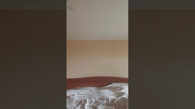 катаюсь на роликах с собакой