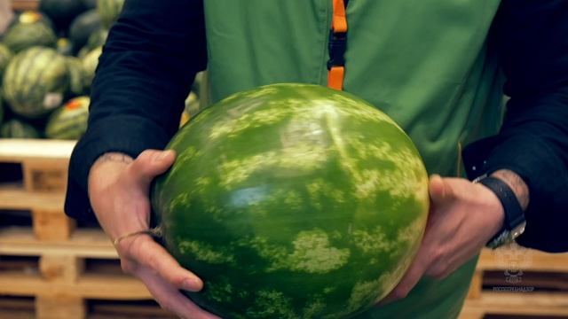 Выбор арбуза