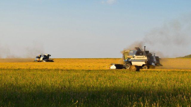Уборочная-2022. Комбайны Енисей-950 и Енисей-1200-1НМ. Молотьба овса.