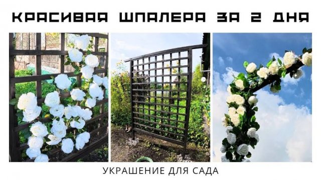 Шпалера своими руками за выходные! Пошаговый мастер-класс с ошибками и лайфхаками ✨ #Сад #diy