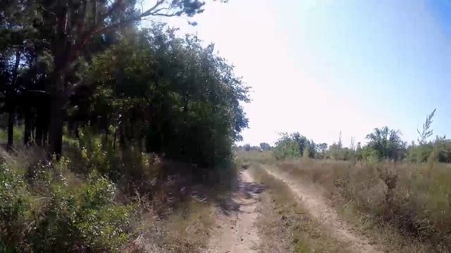 Наедине с тишиной.😊