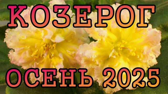 КОЗЕРОГ таро прогноз на ОСЕНЬ 2025 года (сентябрь, октябрь, ноябрь).