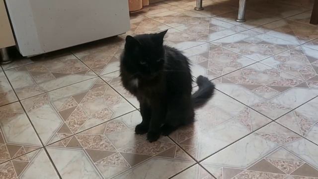 Склероз !