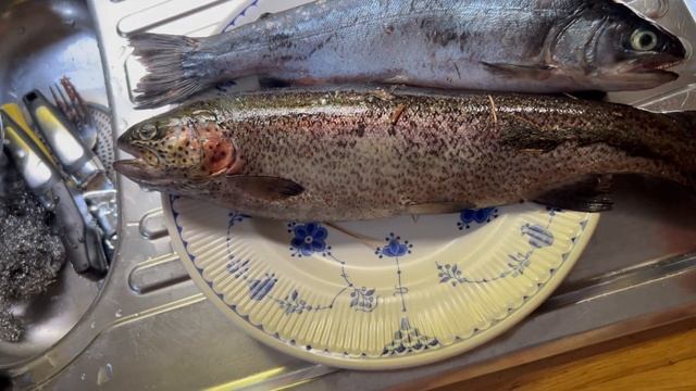 223. На рыбалке, подарки, которые я купила в России, чищу дом.