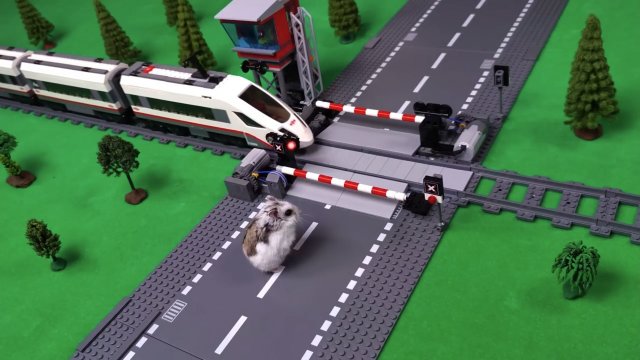 Лего поезд и хомяки