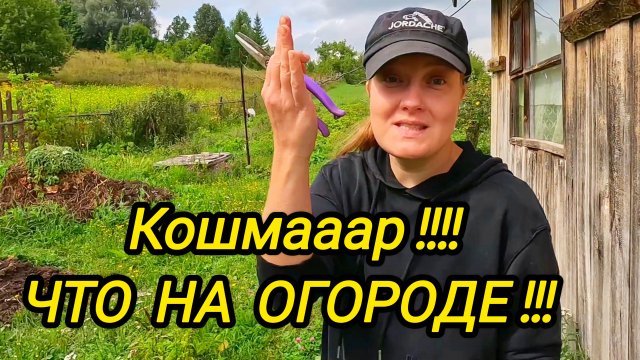 КУПИЛИ ДОМ В ДЕРЕВНЕ | Кошмааар что на огороде | Дом в деревне | Деревенские будни