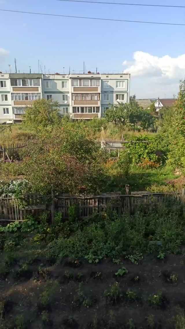деревенская жизнь