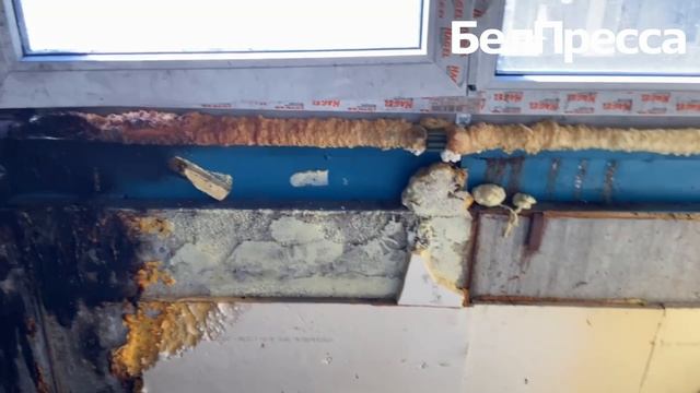 Корреспондент «БелПрессы» проверил_обстановку в Белгороде