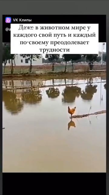 Все ведут себя по разному!