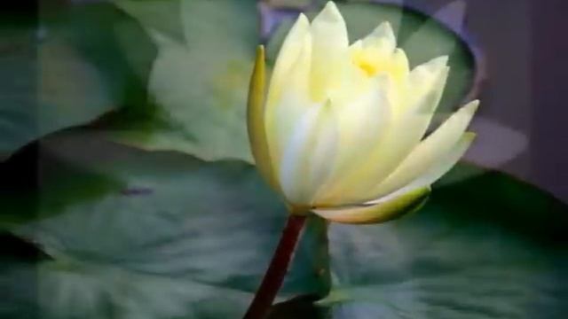 55-САХАСРАРА Raag BHAIRAVI