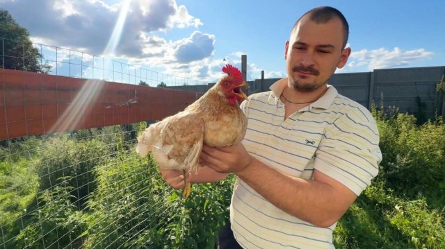 Чем закончился очередной побег? Давно нужно было это сделать! Перестройка старого дома продолжается