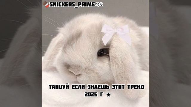 Танцуй если знаешь этот тренд 2025 г✨