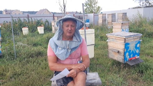 Мне цены на мёд пофигу...Нектар бесплатный, пыльца бесплатная...