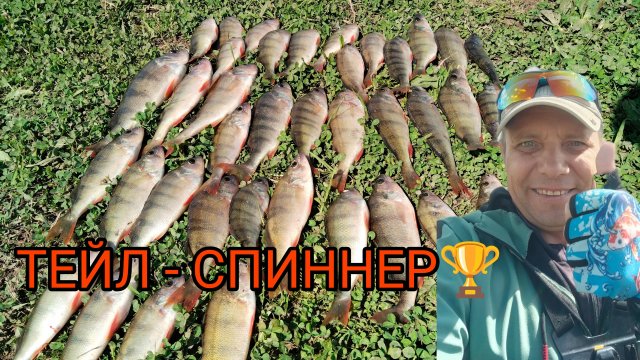 САМАЯ УЛОВИСТАЯ ПРОВОДКА на ТЕЙЛ СПИННЕР. ОКУНЬ НА КАЖДОМ ЗАБРОСЕ