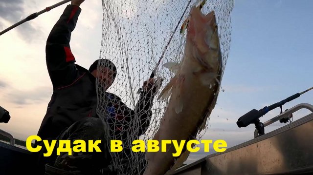 Подбор воблера в августе на примере двух рыбалок