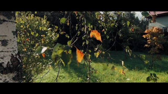 Деревенская зарисовка