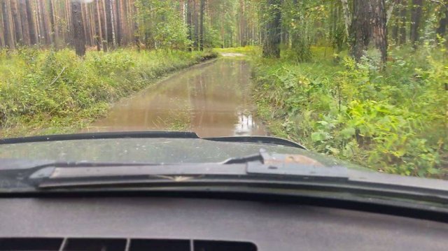 ПЛЫВЁМ ПО ЛУЖАМ
