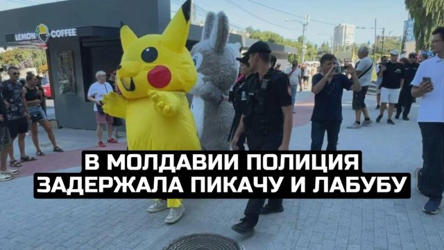 В Молдавии полиция задержала Пикачу и Лабубу