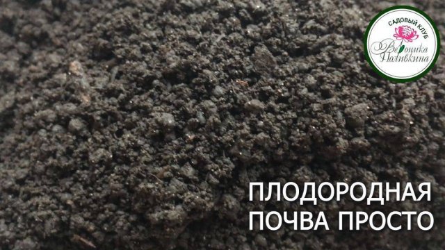 ПРОСТОЙ СПОСОБ ПОВЫСИТЬ ПЛОДОРОДИЕ ПОЧВЫ НА УЧАСТКЕ
