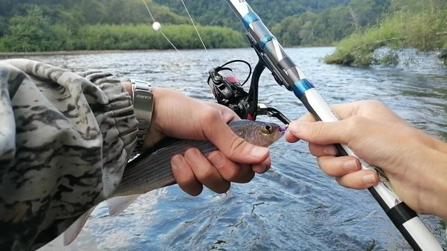 Рыбалка на ХАРИУСА и ЛЕНКА. Хариус разгрызает ФИОЛЕТОВУЮ ШВАБРУ. Река КАТЭН. Рыбалка - отдых.