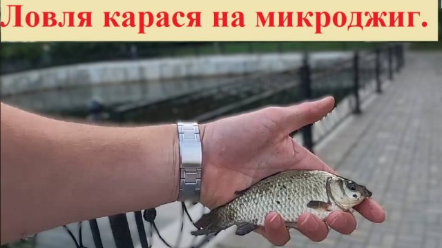 Ловля карася на микроджиг. НИКАКИХ СЕКРЕТОВ, ТОЛЬКО УДАЧА!!!