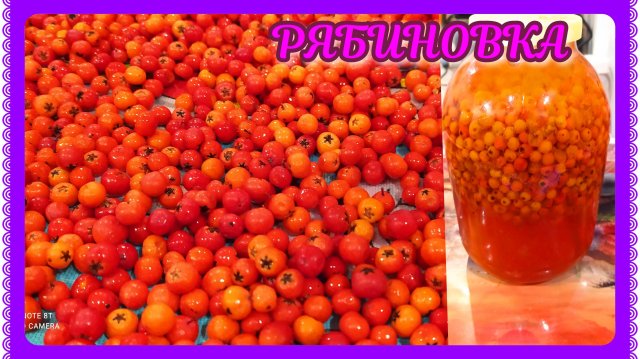 РЯБИНОВАЯ наливка,настойка! РЯБИНОВКА! Простой и полезный рецепт!