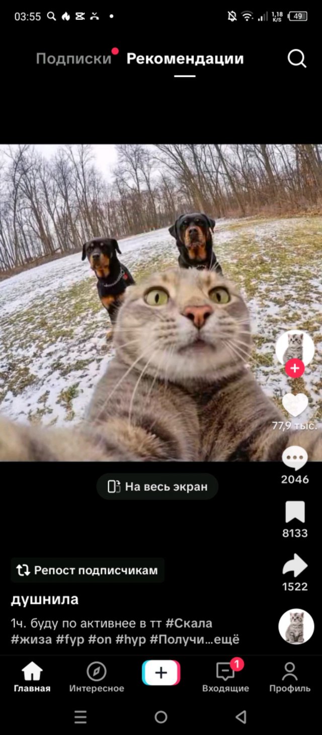 про