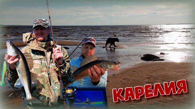 Рыбалка в Карелии на Сямозере. Нападение медведя. Стуканул двигатель на прадике.