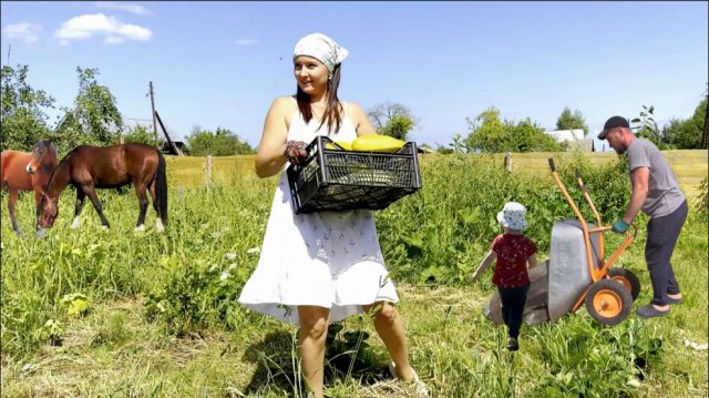 ЖИЗНЬ В СЕЛЕ. СОБИРАЕМ УРОЖАЙ. ПРИВЕЗЛИ ЕЩЕ ТОННЫ СЕНА. МУЖ СНОВА ЛОМАЕТ ЗАБОР.