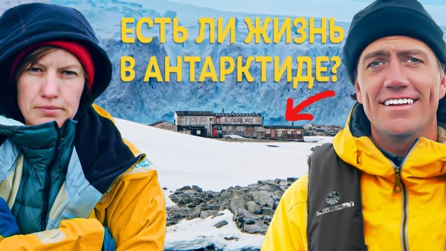 Зачем в Антарктиде стреляют в Китов?