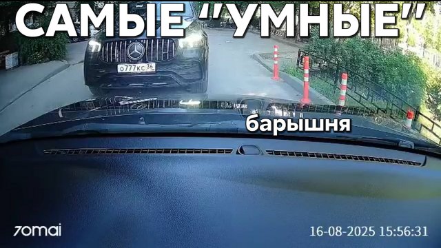 Подборка САМЫХ "УМНЫХ" водителей #1168