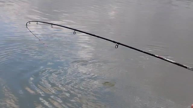 1000033576.mp4