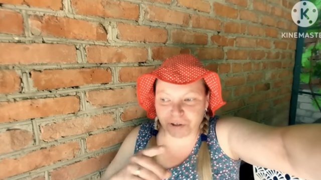 мы родились в Сибири//гости что в горле кости//обзор канала