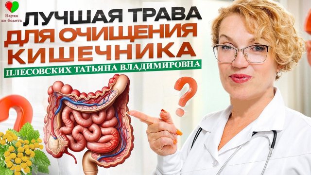 ТРАВА для ОЧИЩЕНИЯ КИШЕЧНИКА и НЕ ТОЛЬКО! - ПИЖМА ЗОЛОТАЯ - ЗОЛОТО ДЛЯ ЗДОЛРОВЬЯ! - ПЛЕСОВСКИХ Т.В.