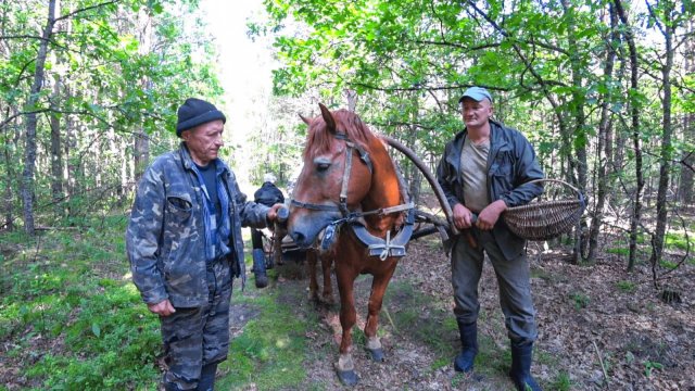 КАК ЖИВУТ ЛЮДИ в БЕЛАРУССКОЙ ГЛУШИ. ЖИЗНЬ в ГЛУХОЙ , ЛЕСНОЙ ДЕРЕВНЕ. №356