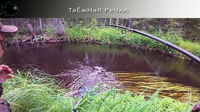 НА ТАЕЖНОЙ РЕЧКЕ