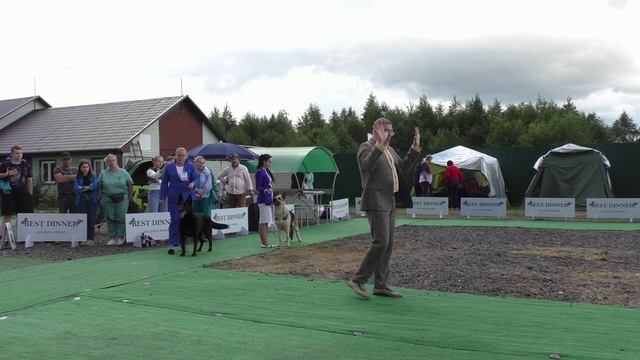 Сравнение на ЛЮ и ЛПП